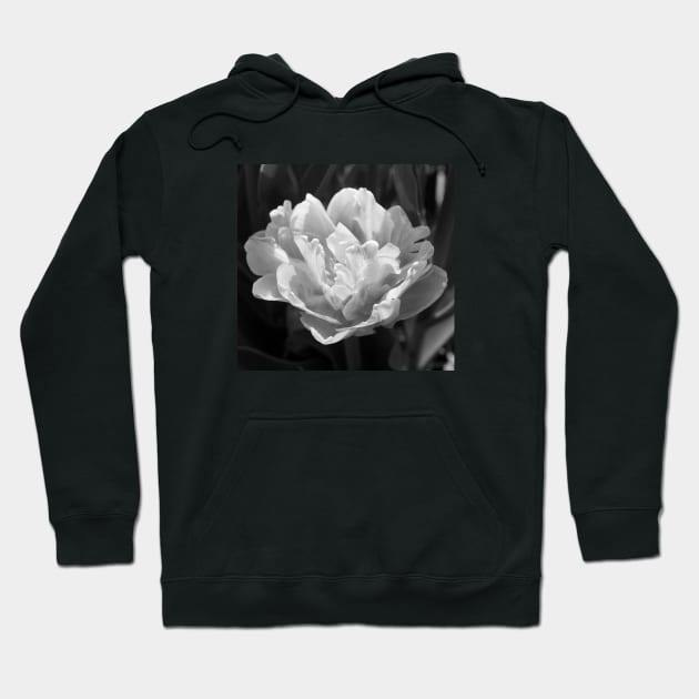 Black and White Foxtrot Hoodie by ElizabethB_Art